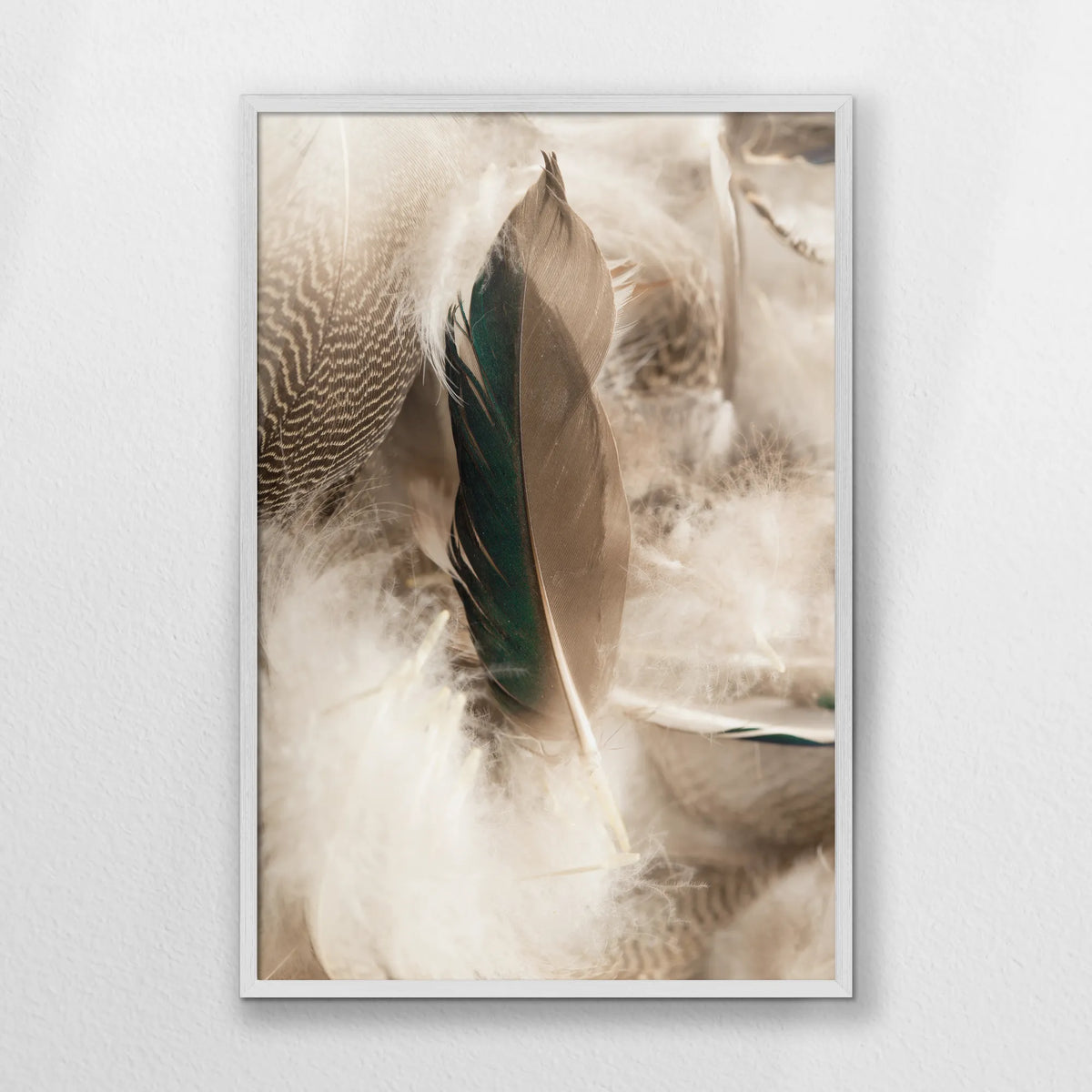 PW-062W093
