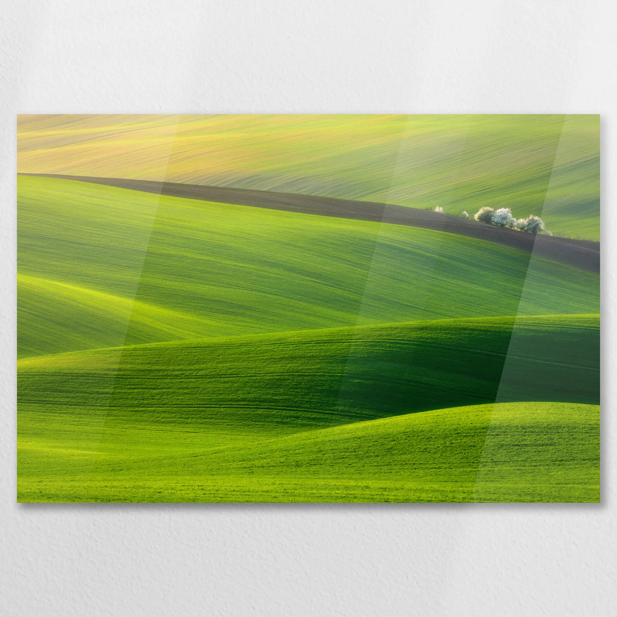 AC-075W050