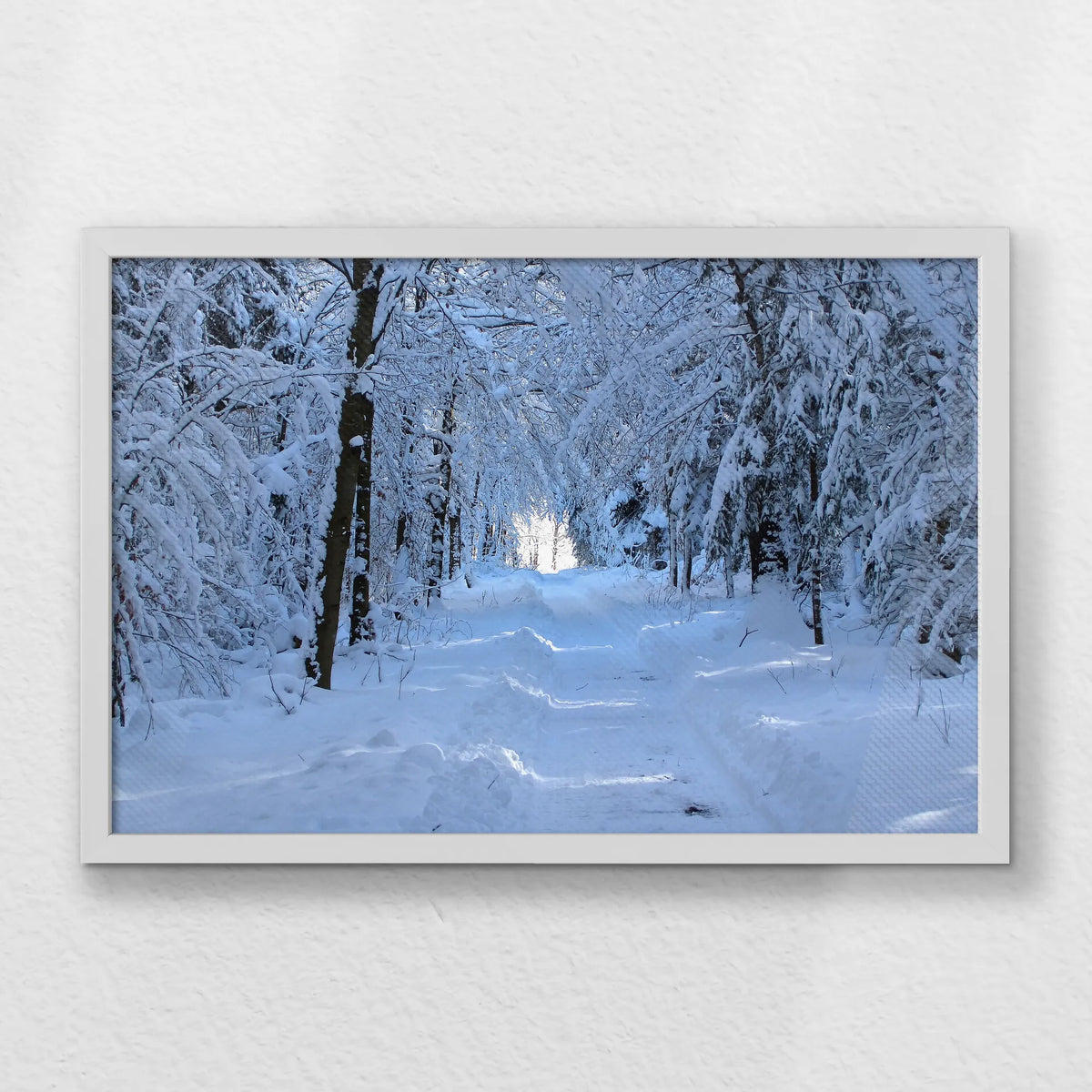 LWW060W040