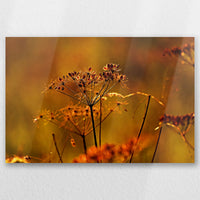 AL-060W040