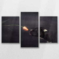 LW-090T060