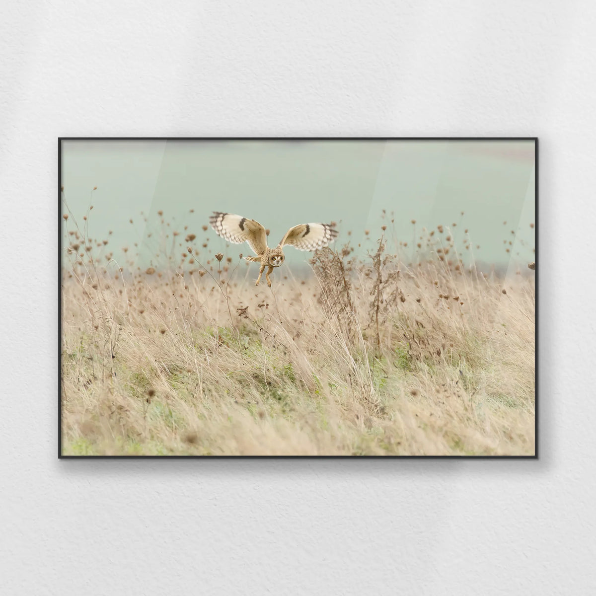 PB-120W080