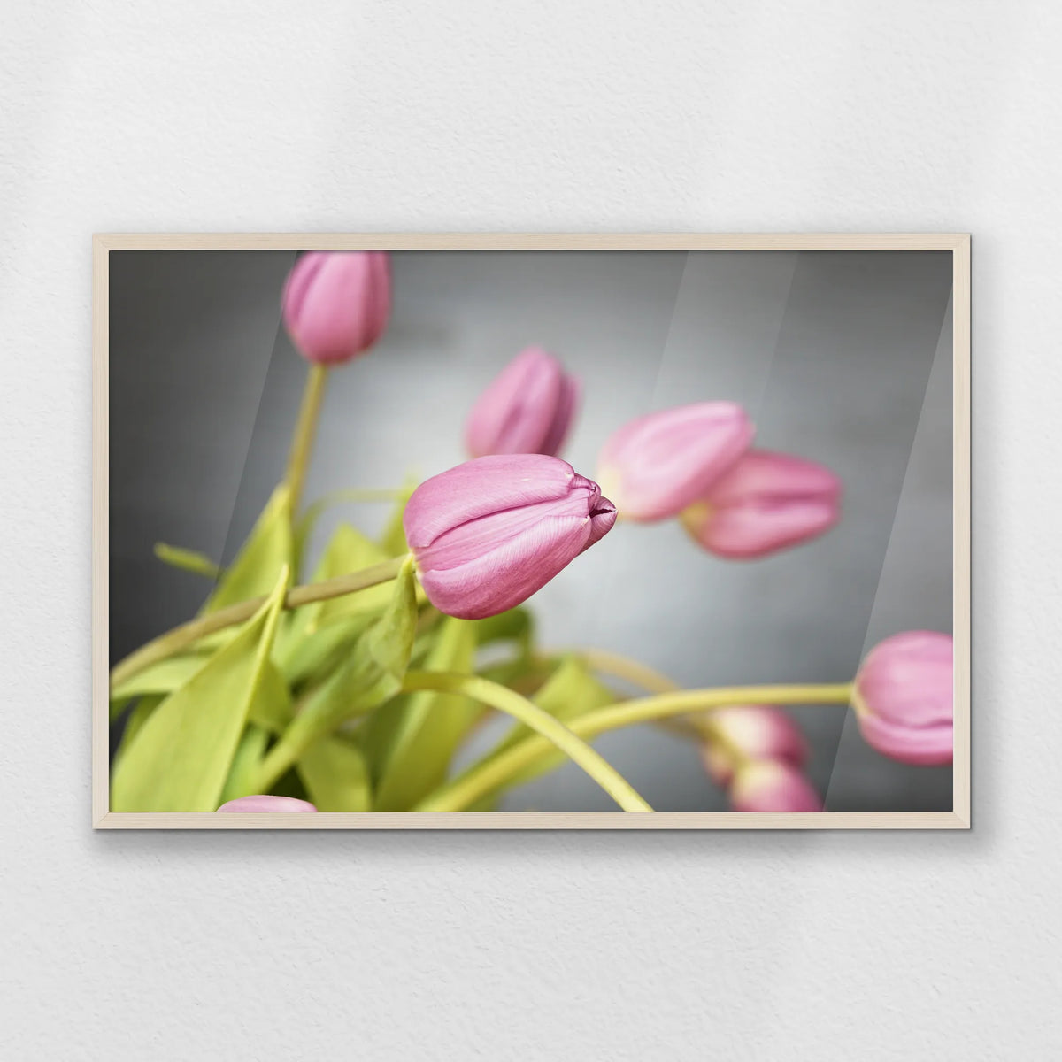 PN-093W062