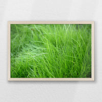 PN-060W040