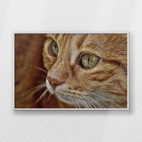 LWW120W080