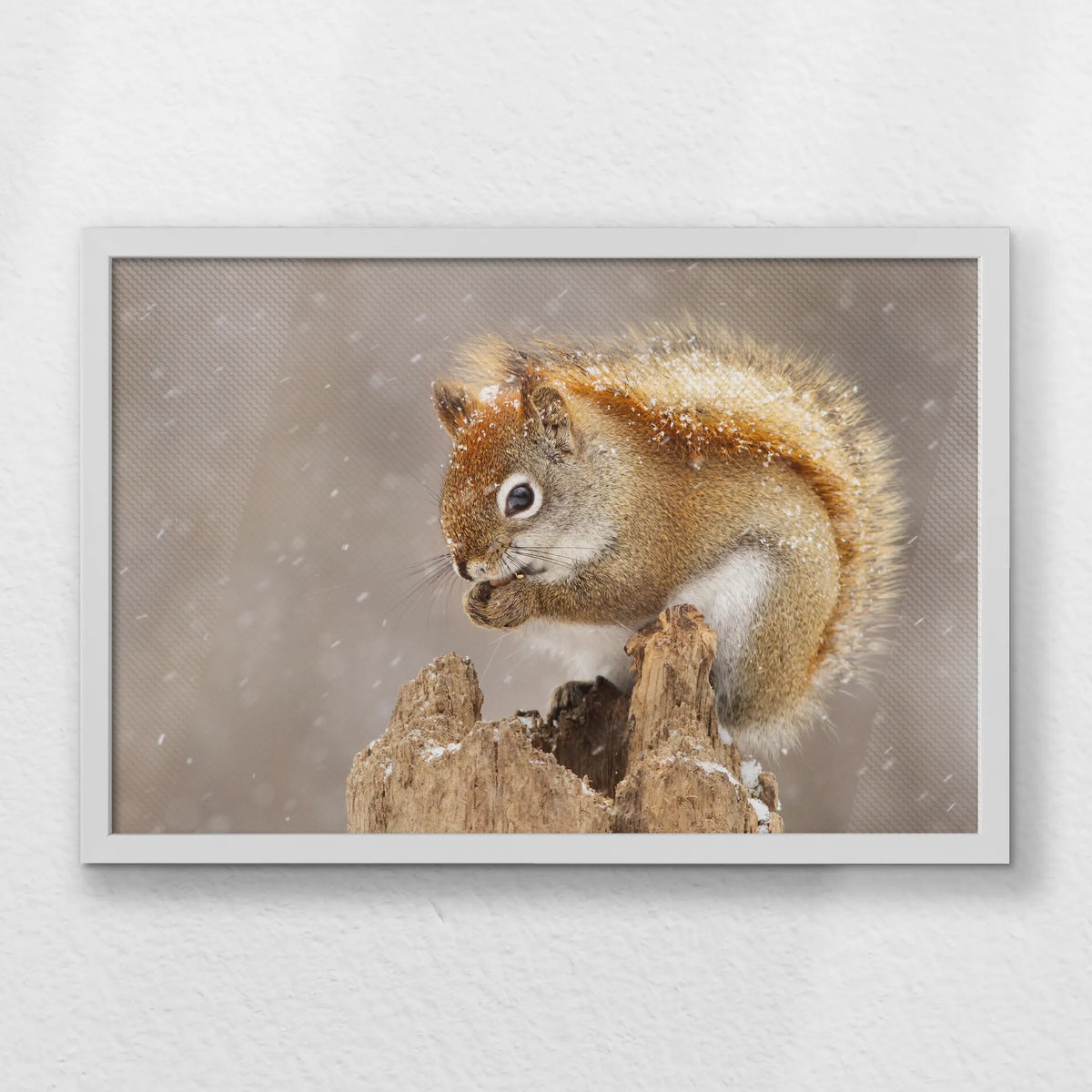 LWW060W040