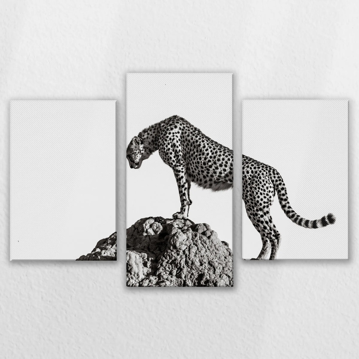 LW-150T100