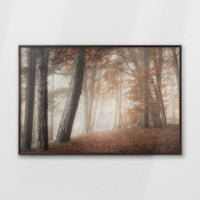 LWN120W080