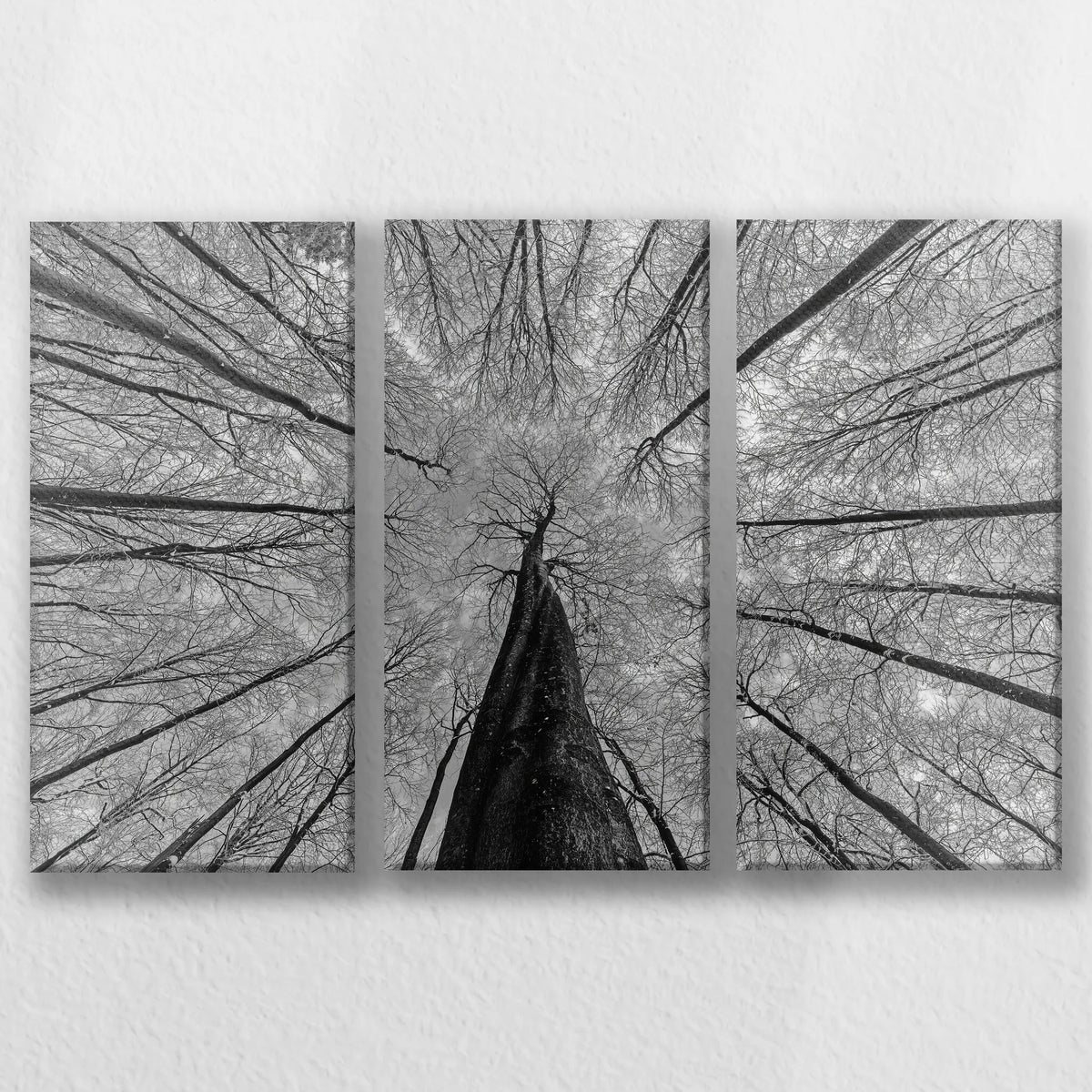 LW-060R040