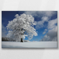 LW-060W040