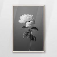 PN-070W100