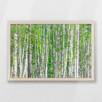 PN-060W040