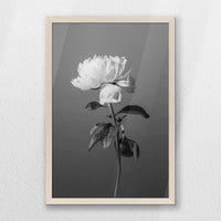PN-040W060