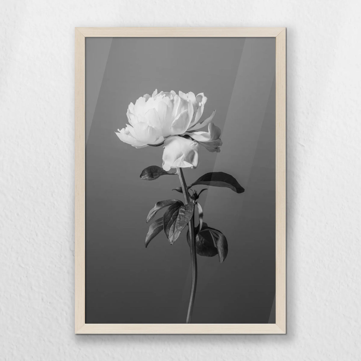 PN-040W060