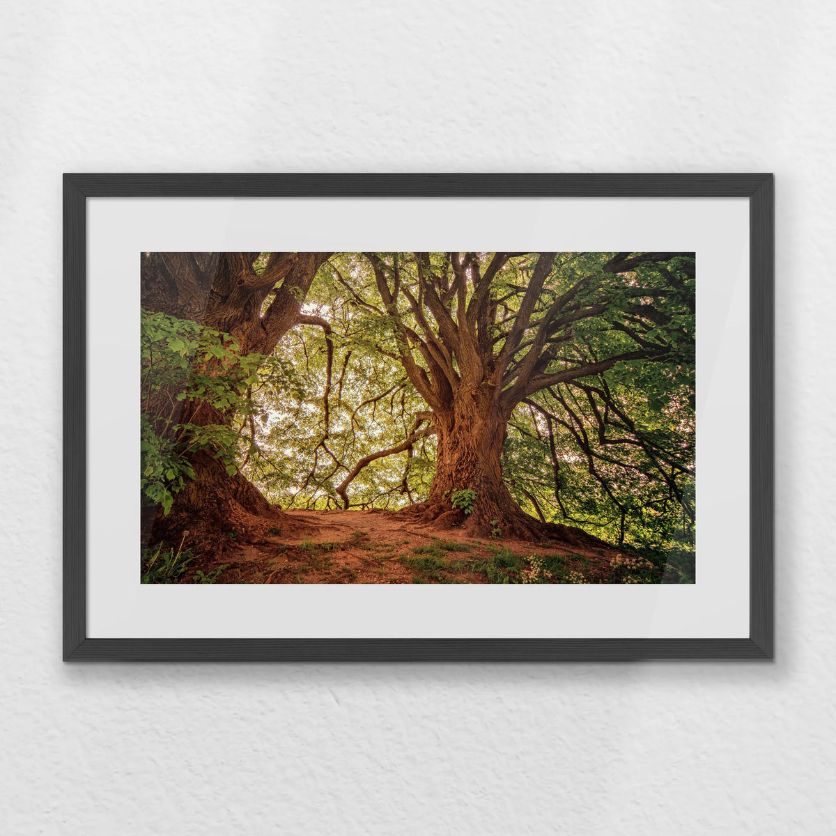 PKP060W040