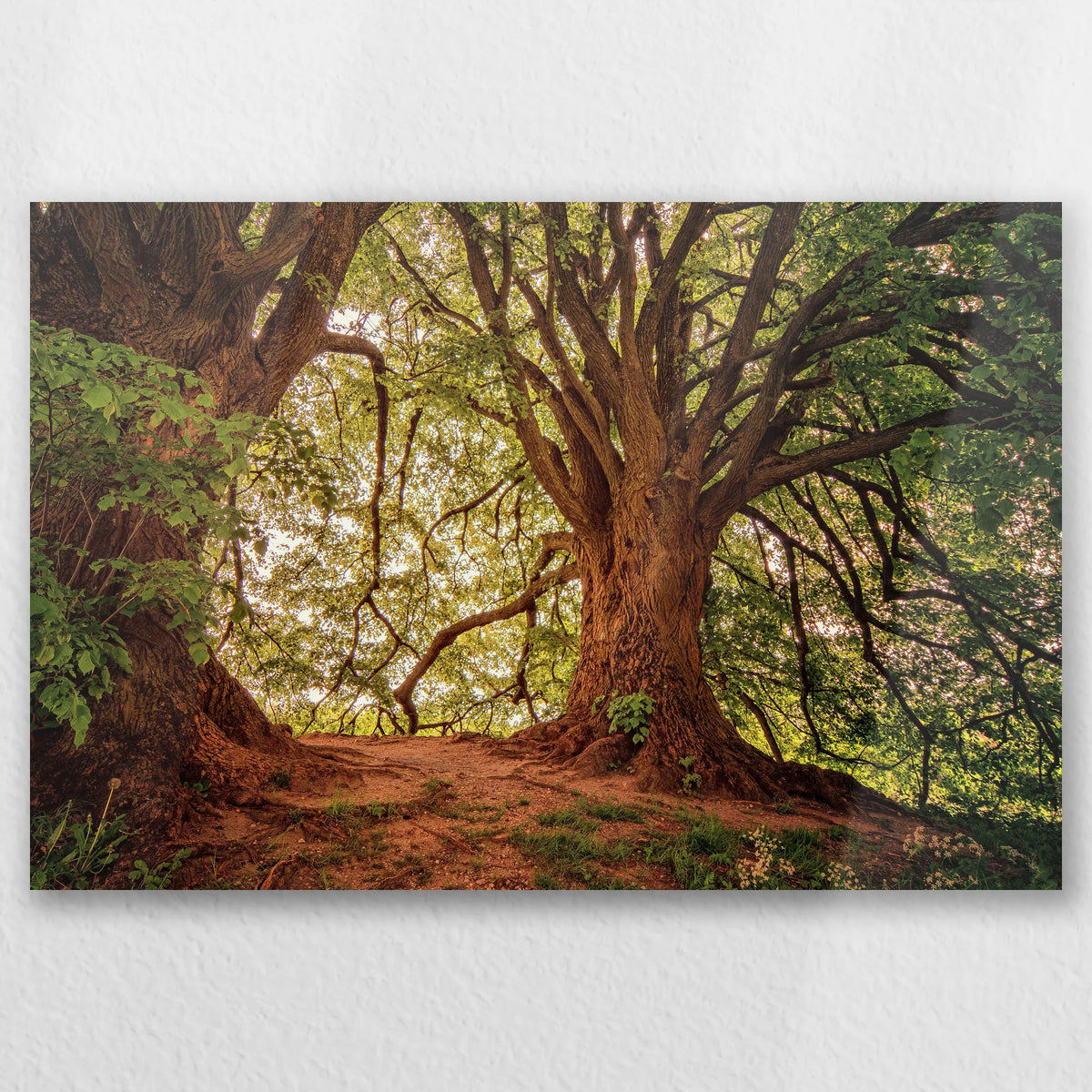 AL-030W020