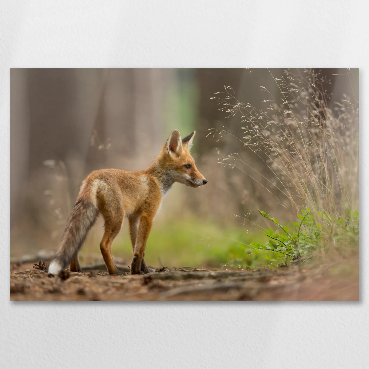 AL-090W060