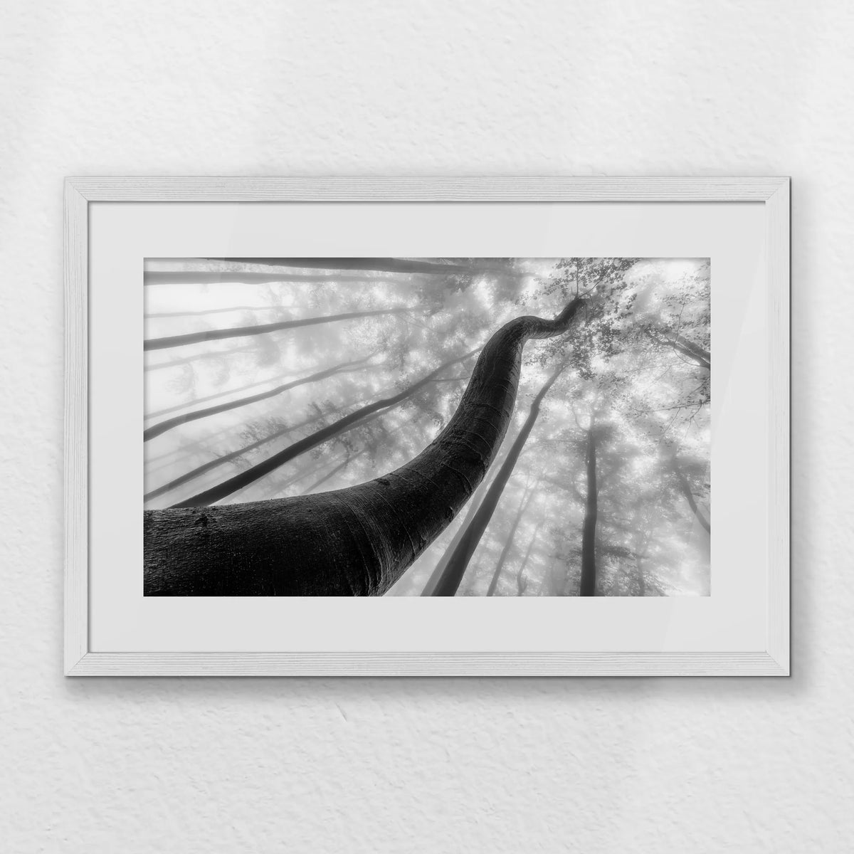 PWP060W040