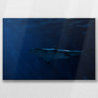 LW-030W020