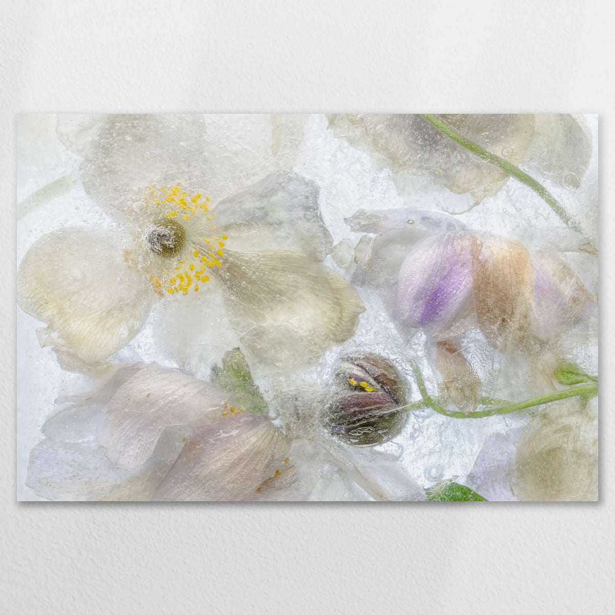 AC-120W080