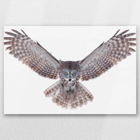 AL-060W040