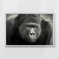 PW-093W062