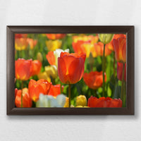 LWN030W020