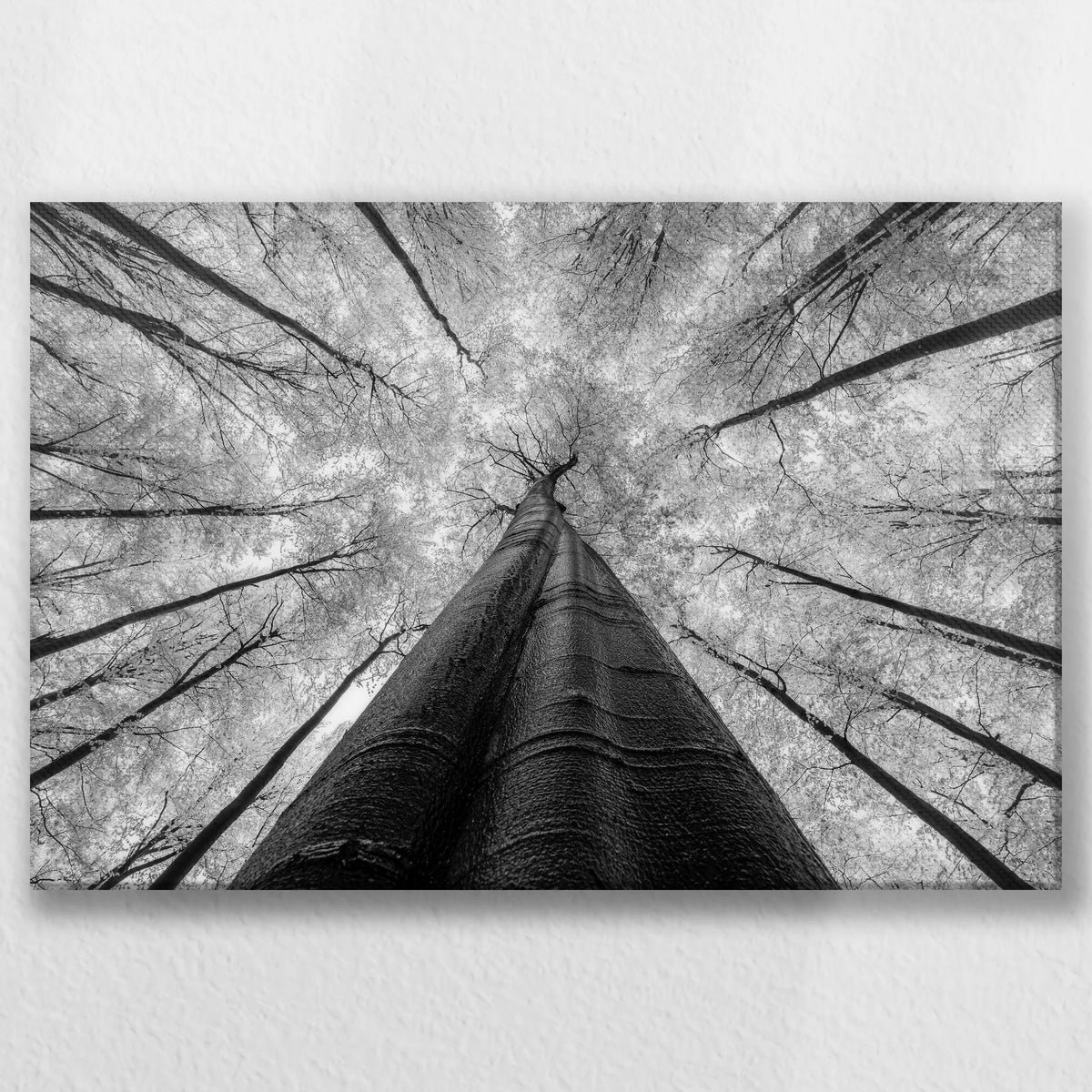 LW-060W040