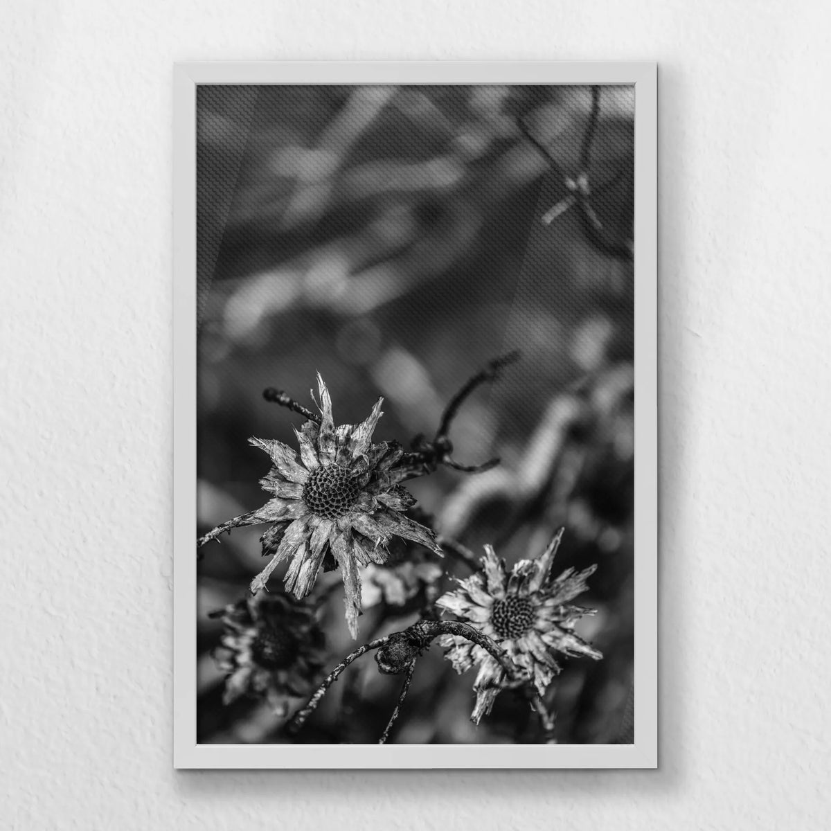 LWW040W060