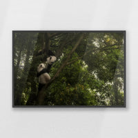 PK-100W070