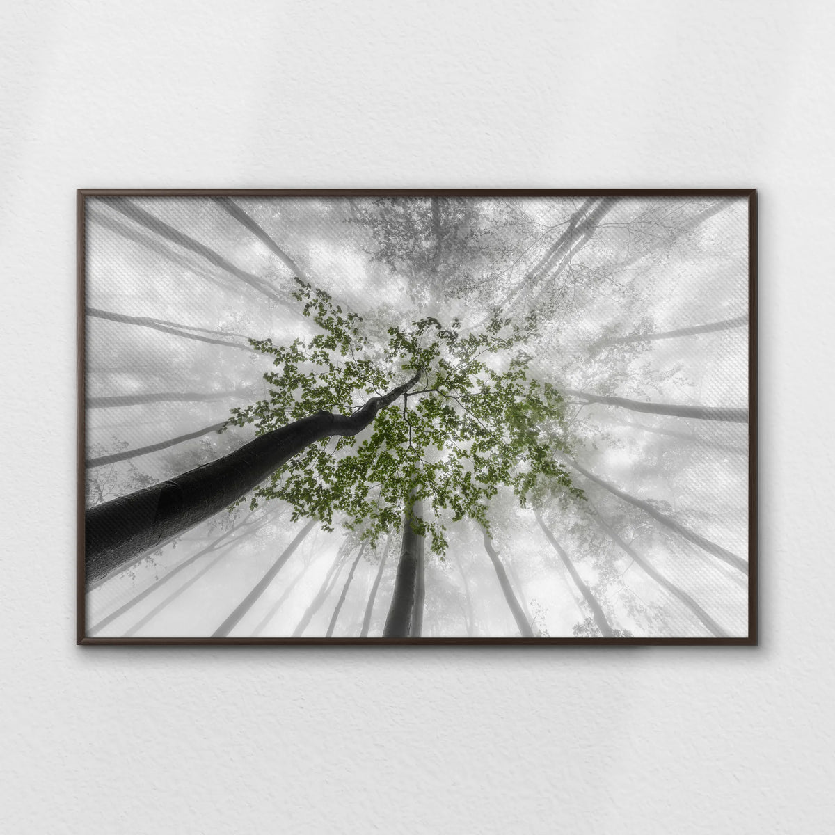 LWN120W080
