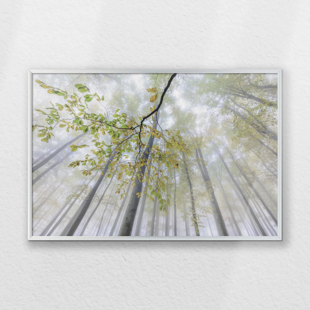 PS-060W040