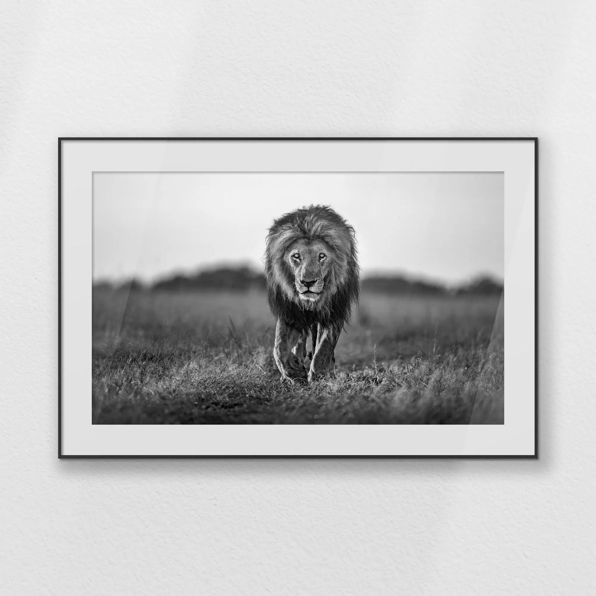 PBP120W080