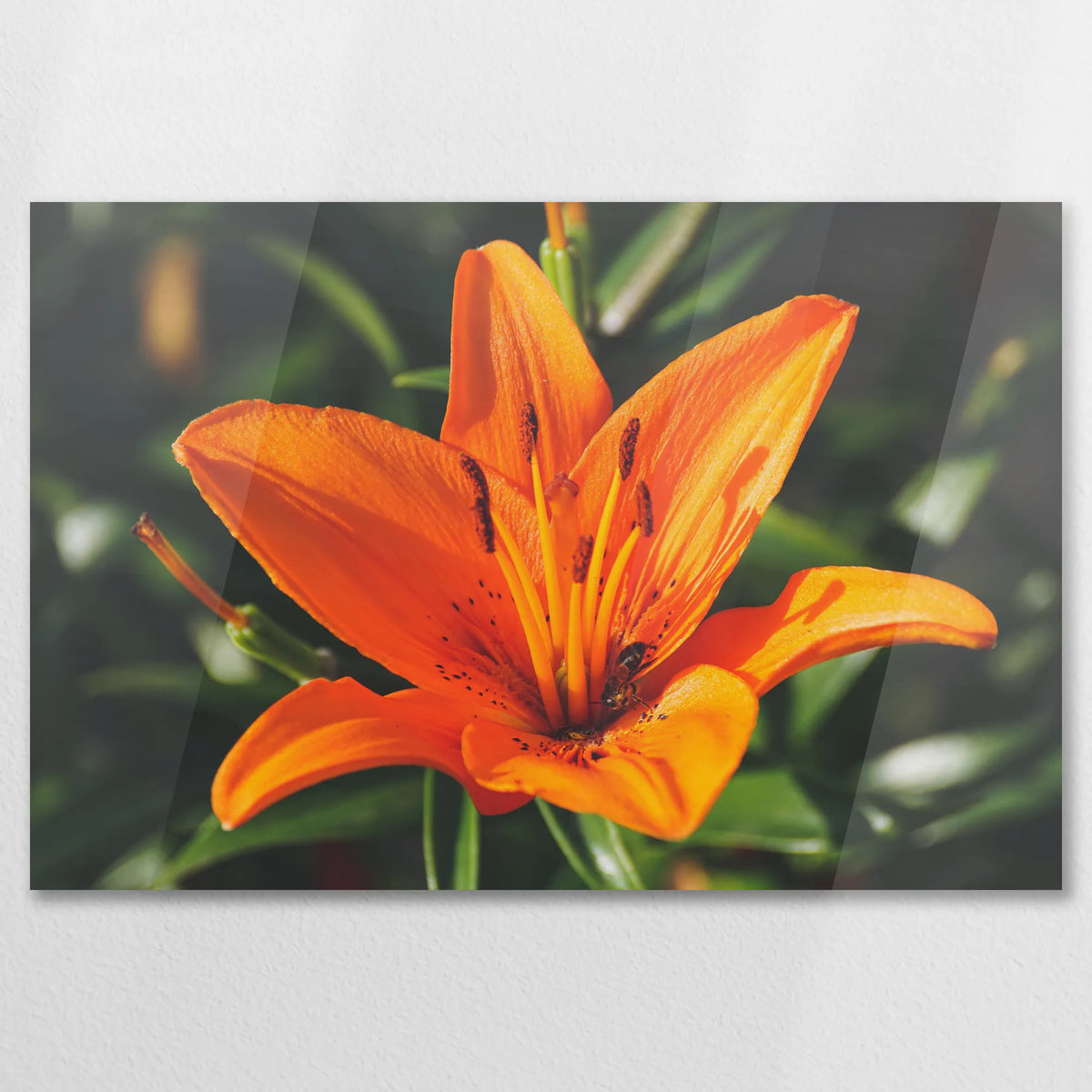 AC-075W050
