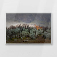 PS-093W062
