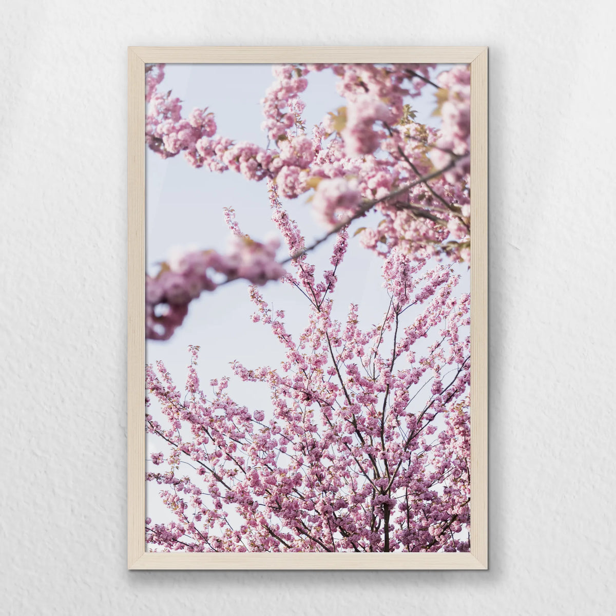 PN-040W060