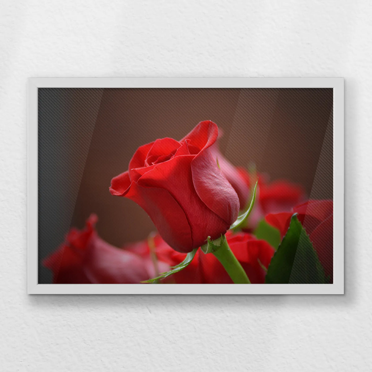 LWW060W040