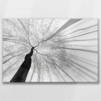 LW-075W050