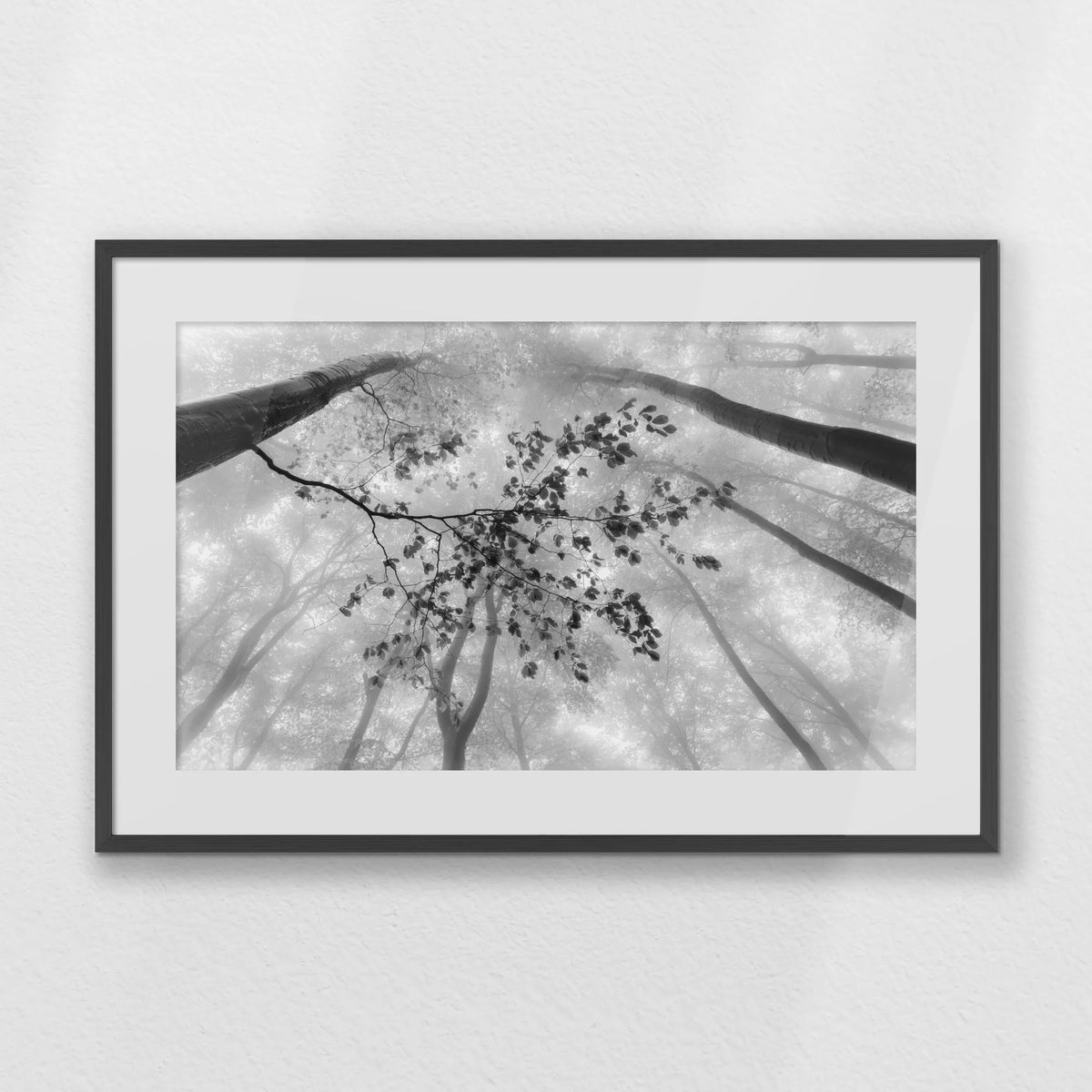 PKP093W062