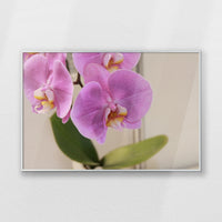 PS-093W062