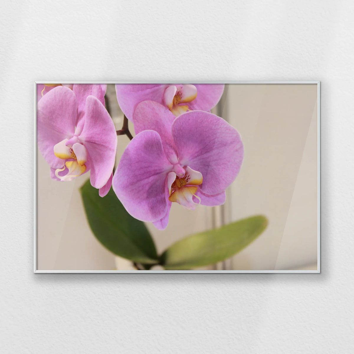 PS-093W062