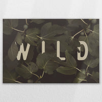 LW-120W080
