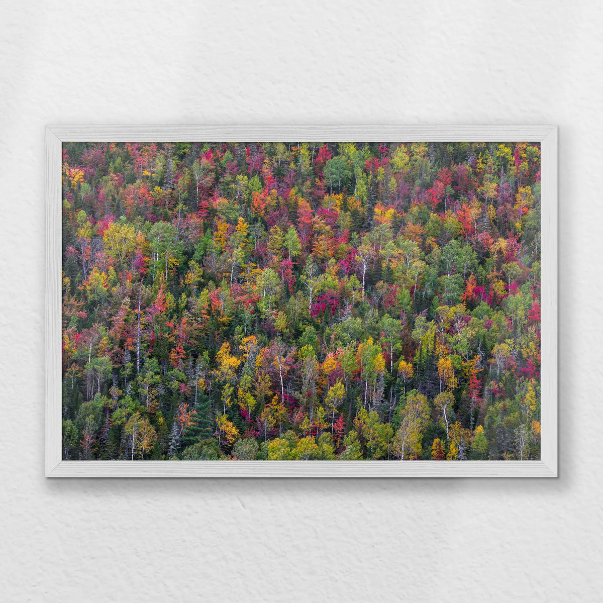 PW-060W040