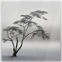 AC-040W040