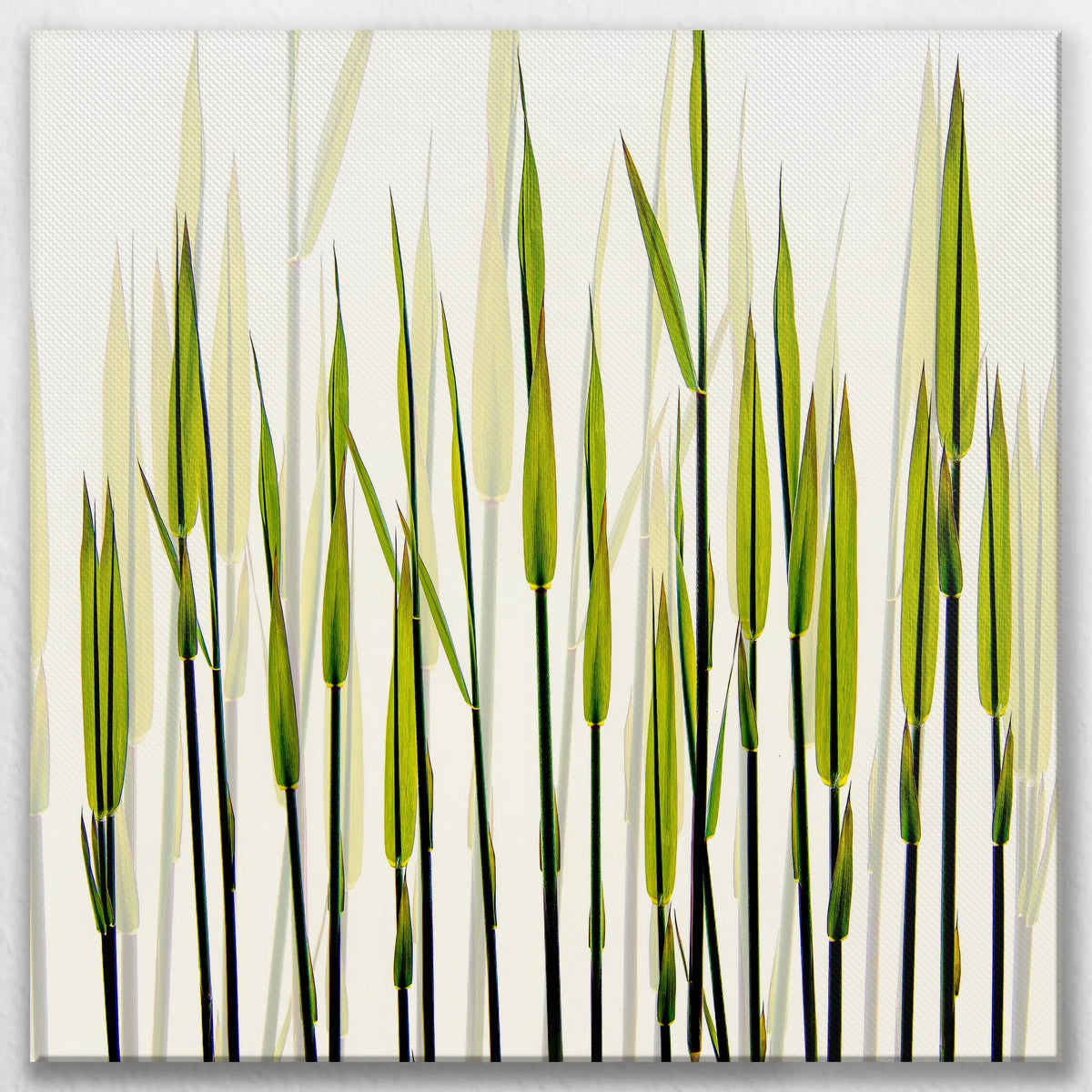 LW-090W090