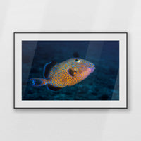 PBP120W080