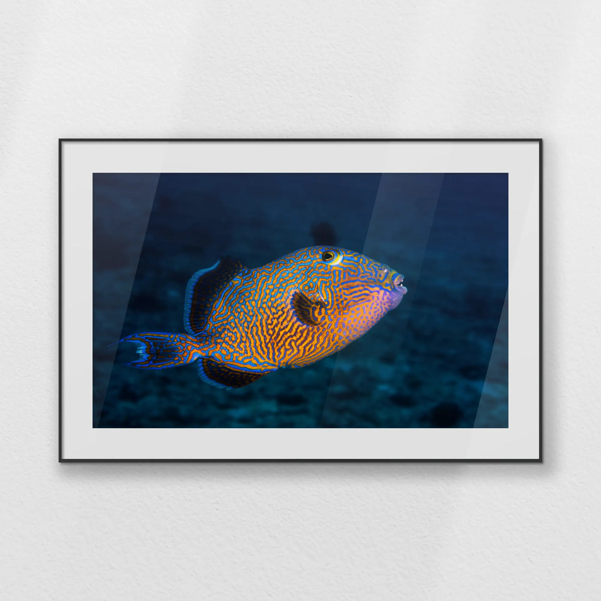 PBP120W080