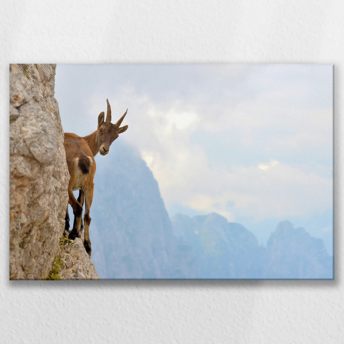 LW-075W050