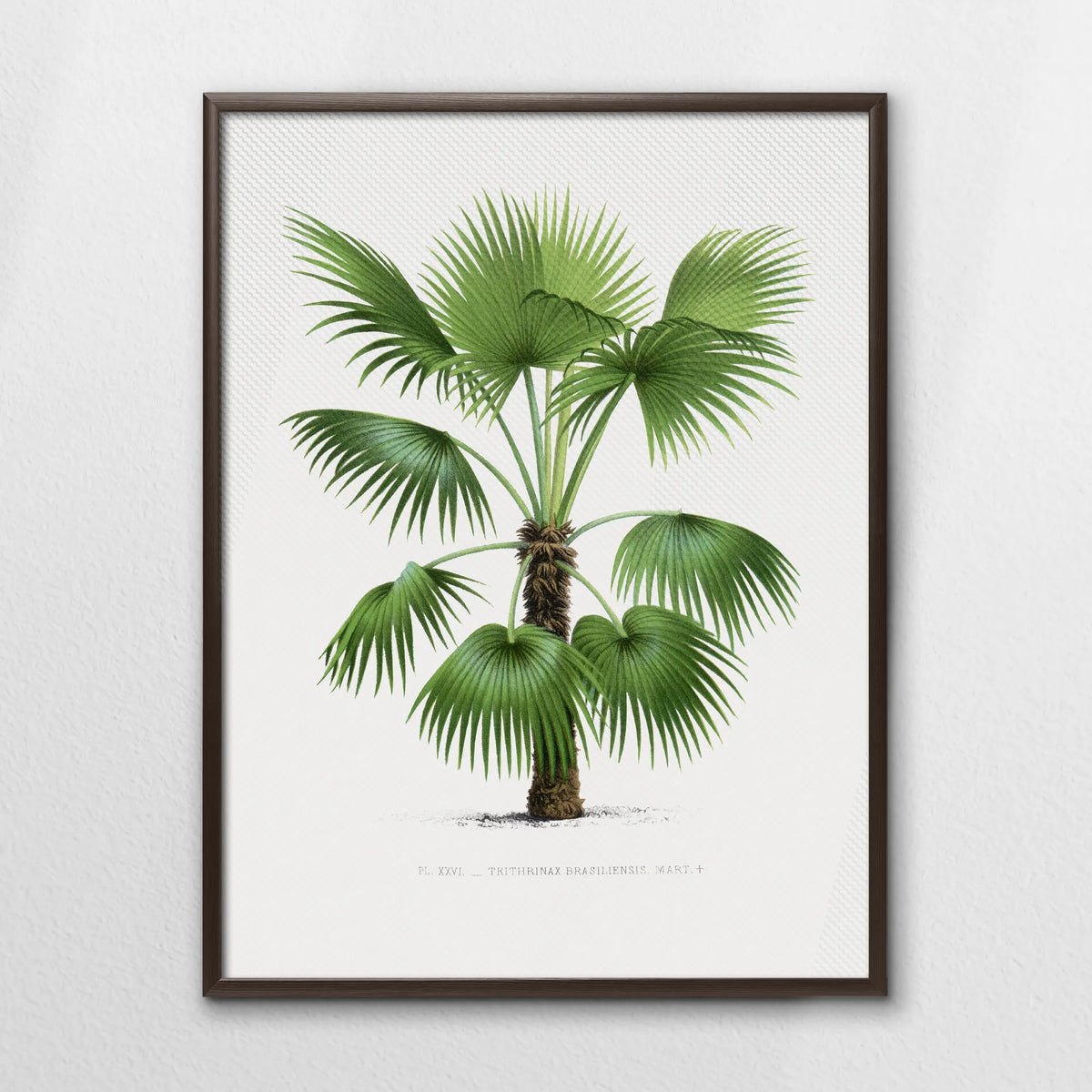 LWN060W080