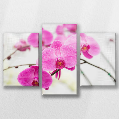 LW-060T040